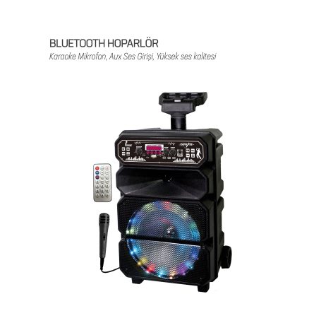 BTS-45 Bluetooth Hoparlör