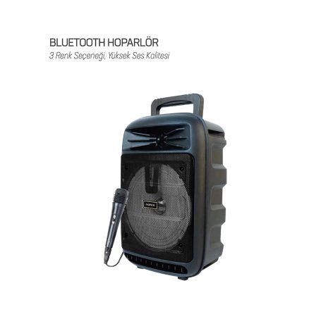 BTS-58 Bluetooth Hoparlör